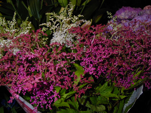 京鹿の子 大津市の花屋 銀草園