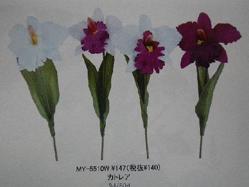 カトレア 花径１３ｃｍ 単色３６本入り ｍｙ５５１０ｗ フラワーギフトの花屋広場ショッピング