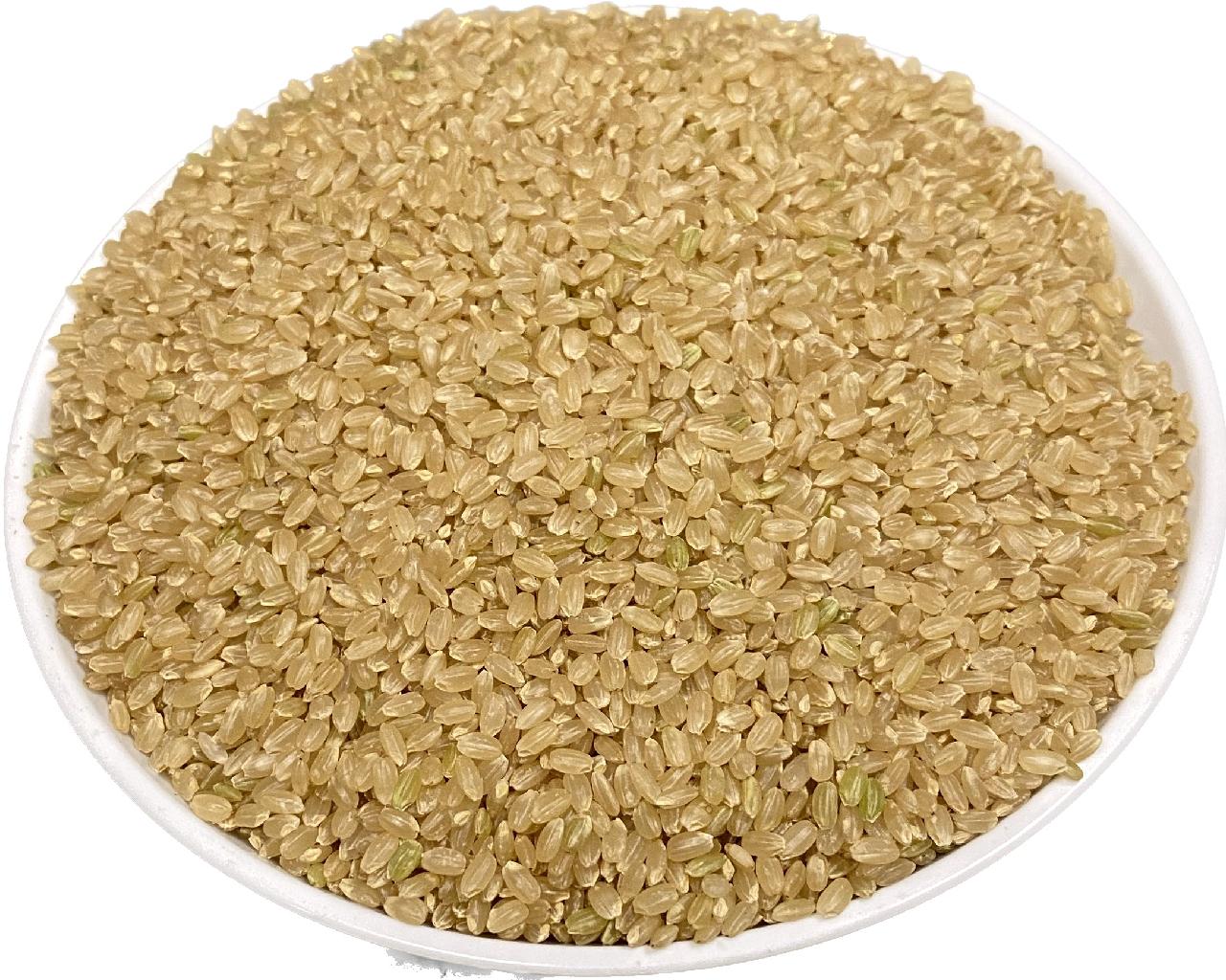 国内外の人気 【れんげ米 無農薬玄米】20.0kg 特別 コシヒカリ