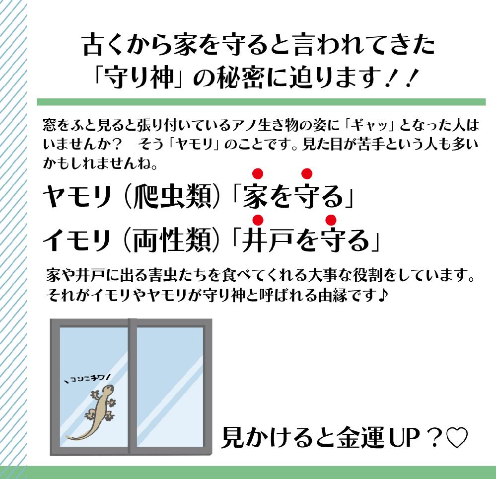 ブログ エルデザインの窓 岡山県倉敷のエルデザイン 男前の大工います